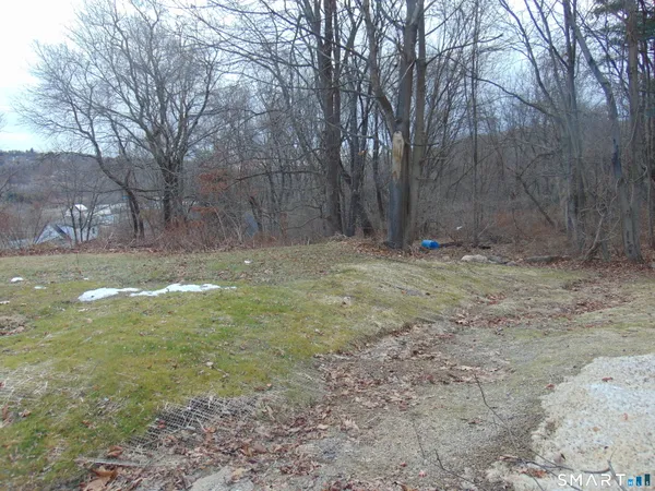 a view of a yard with a tree