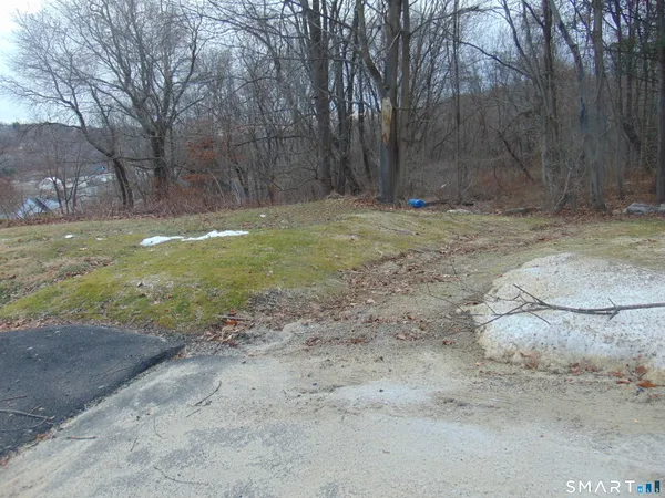 a view of a backyard with large trees