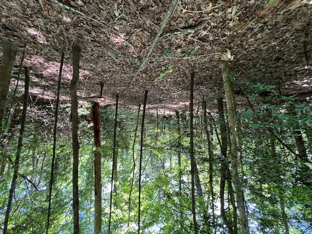 Lot 71 Edgewater Point Salem, SC 29676 - Photo 11 of 20