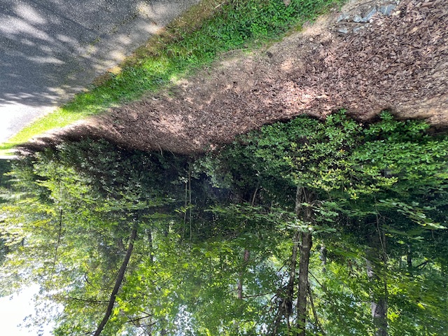 Lot 71 Edgewater Point Salem, SC 29676 - Photo 2 of 20 Lot 71