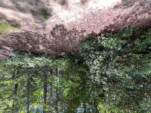 Lot 71 Edgewater Point Salem, SC 29676 - Photo 4 of 20