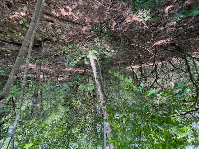 Lot 71 Edgewater Point Salem, SC 29676 - Photo 5 of 20