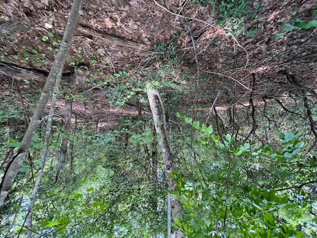 Lot 71 Edgewater Point Salem, SC 29676 - Photo 6 of 20