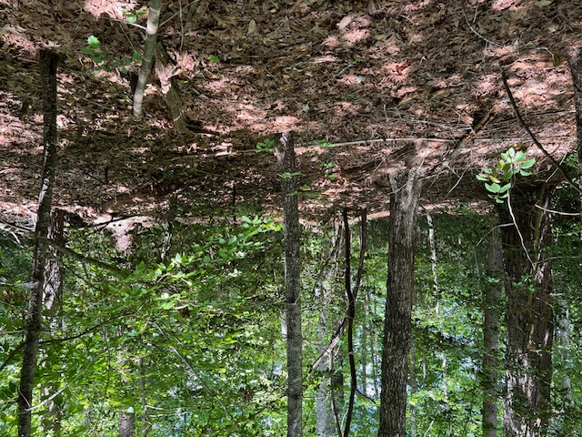 Lot 71 Edgewater Point Salem, SC 29676 - Photo 8 of 20