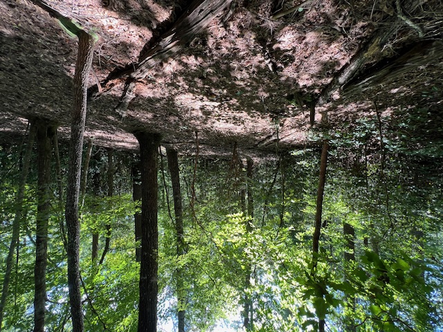 Lot 71 Edgewater Point Salem, SC 29676 - Photo 9 of 20