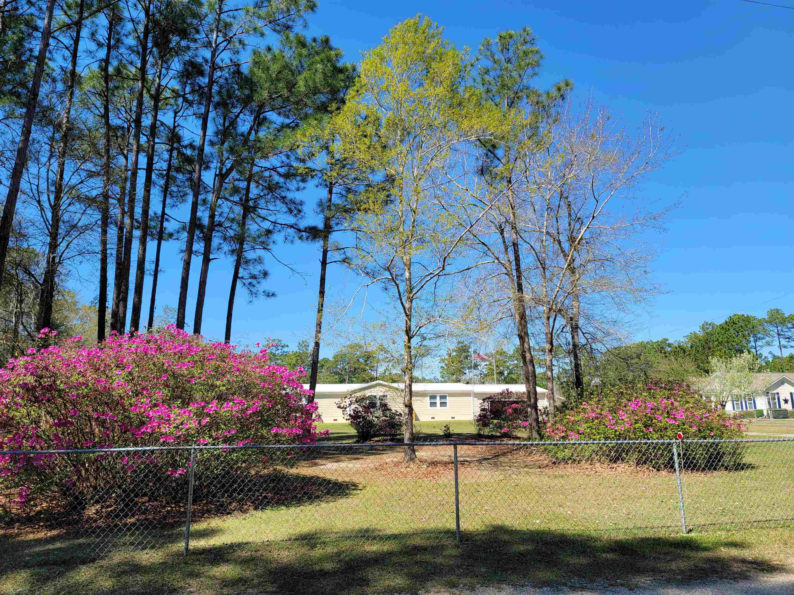 10647 Rte Road Lillian, AL 36549 - Photo 61 of 62 Yard