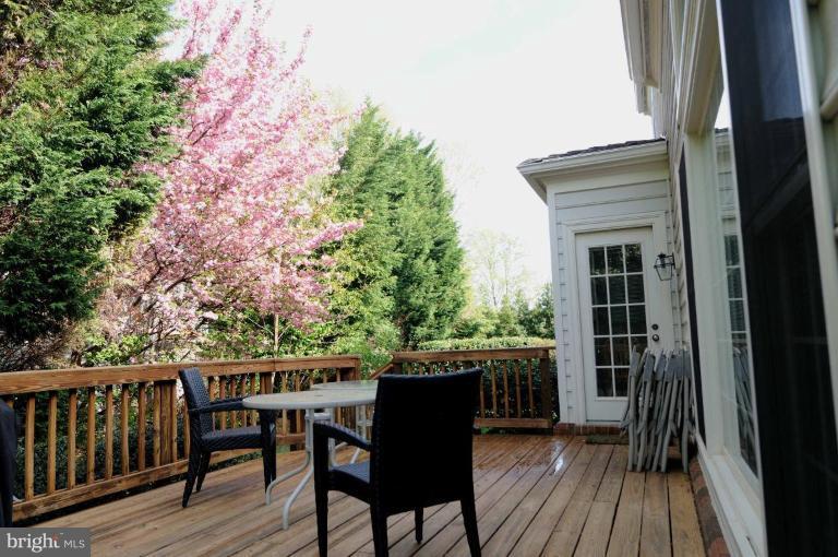 2707 Courthouse Oaks Road Vienna, VA 22181 - Photo 4 of 23 Exterior back yard 1
