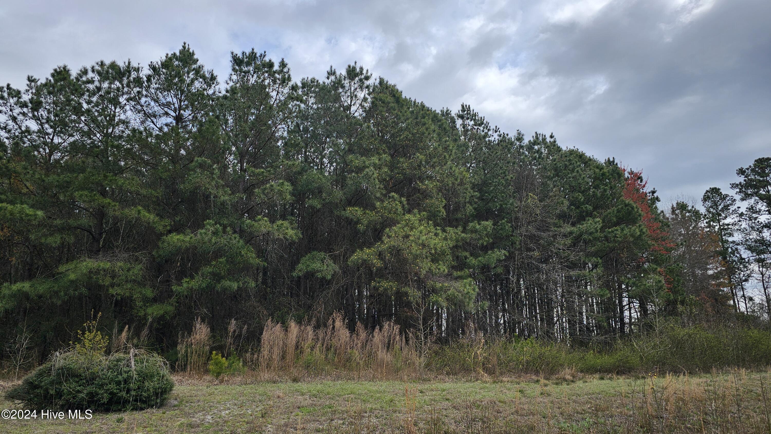 407 D County Line Road Tyner, NC 27980 - Photo 2 of 2 Wooded Lot