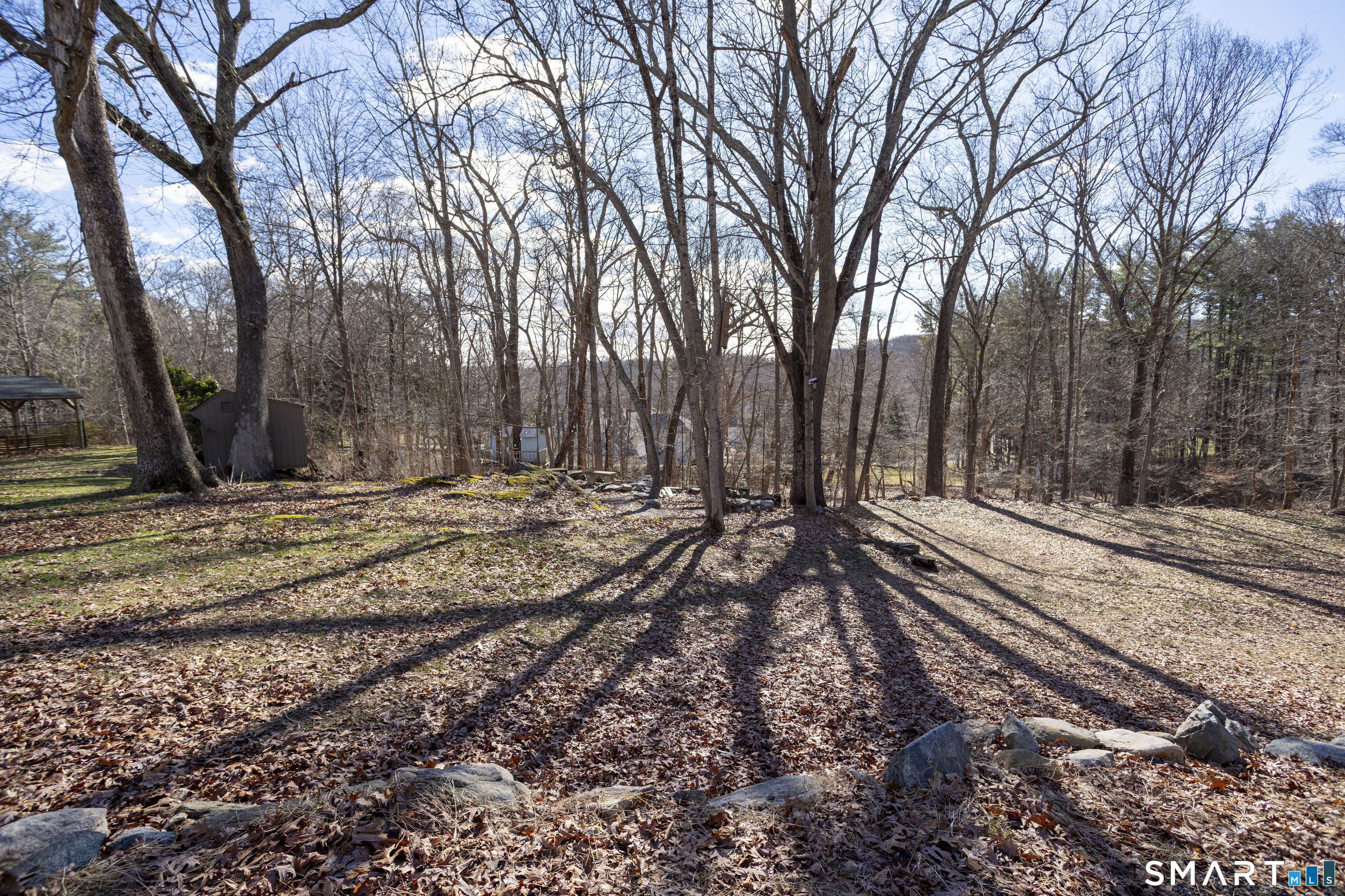 10 Cove Hill Road Essex, CT 06426 - Photo 11 of 38 a view of a yard with trees