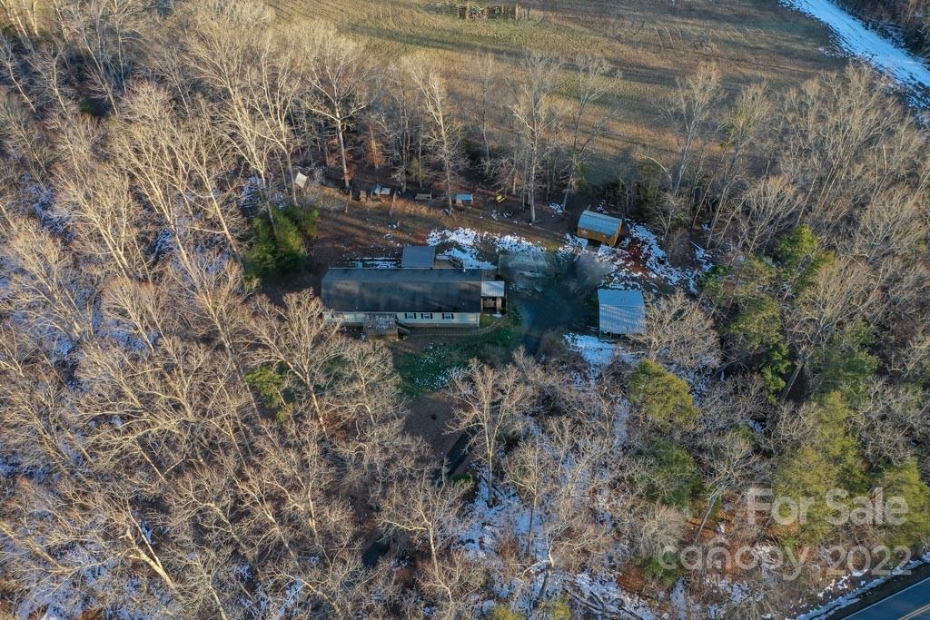 890 Rock Road Rutherfordton, NC 28139 - Photo 40 of 40 a view of a yard with plants and large trees