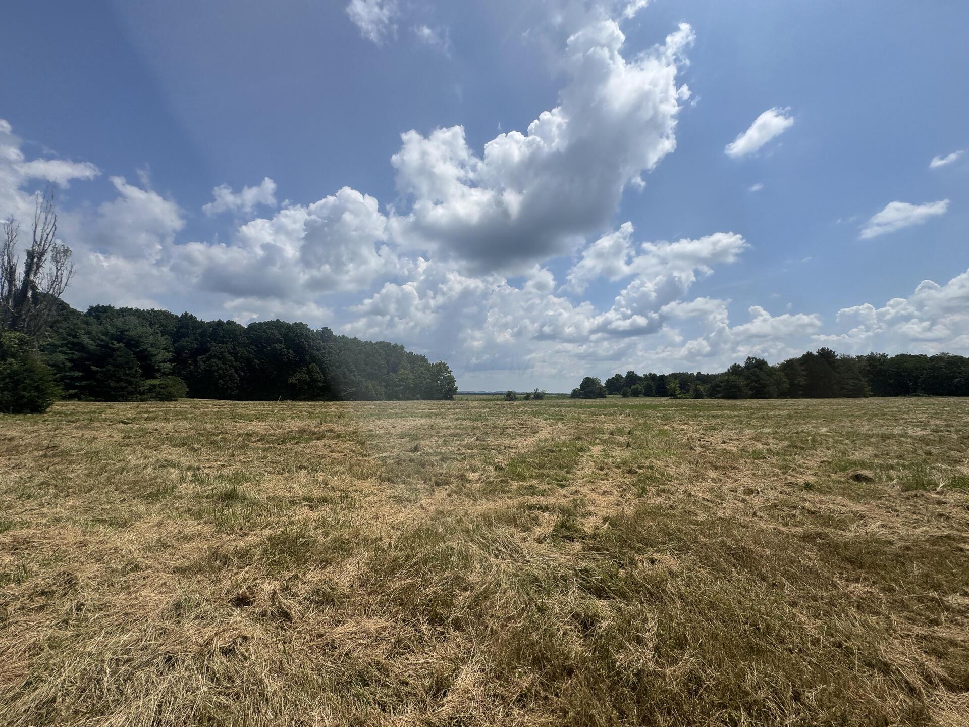 370 Golf Course Road, Unit TRACT 5 SKYLINEACRES) Waverly, OH 45690 - Photo 16 of 38 CT-16