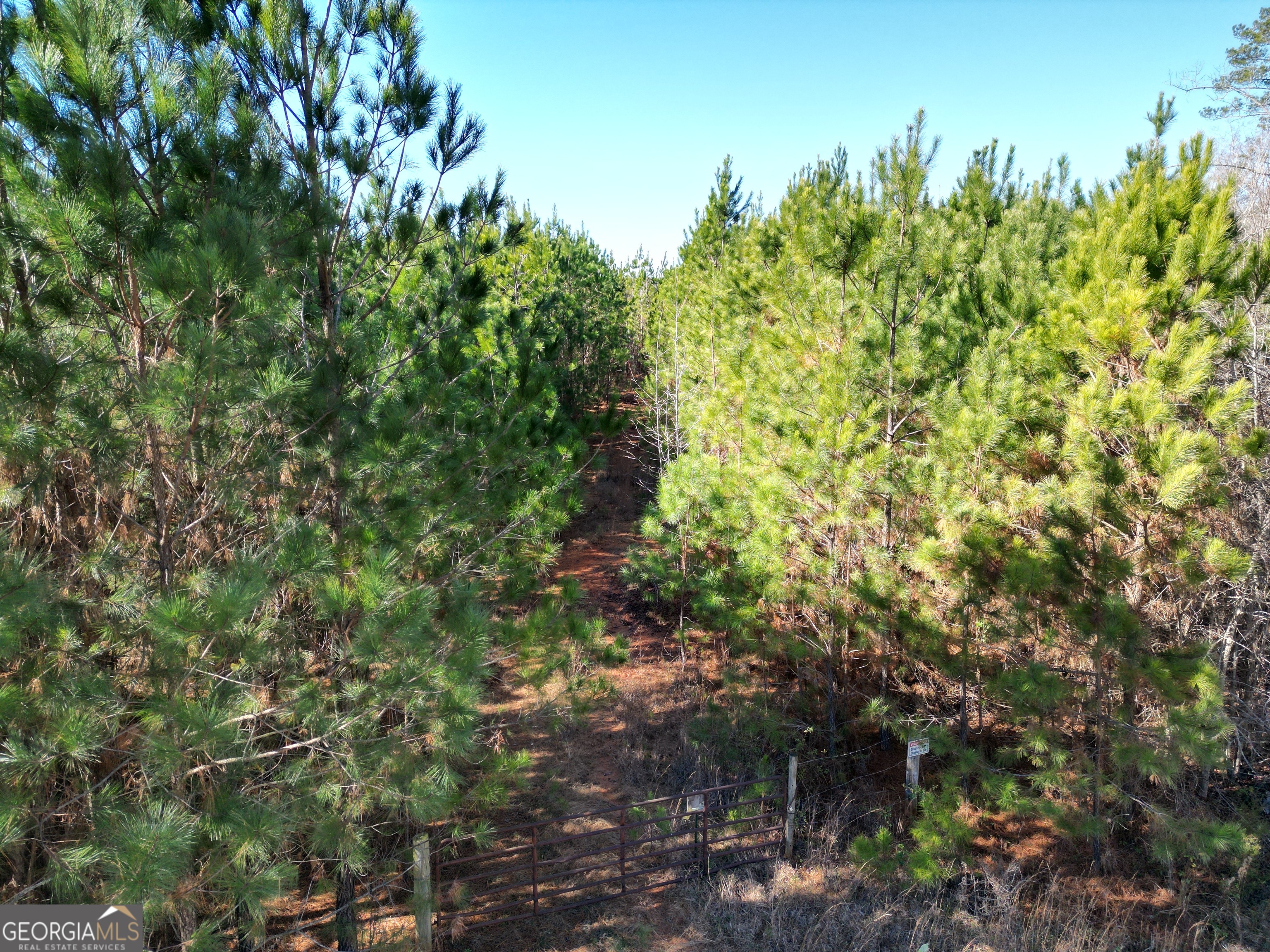 0 Jaudon Road, Unit 30 03 ACRE LOT) Elberton, GA 30635 - Photo 1 of 4
