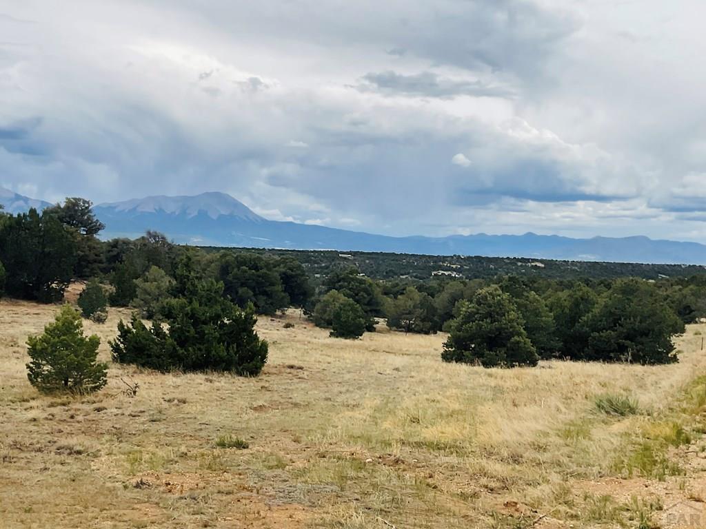 Lot 17 Navajo Ranch Walsenburg, CO 81089 - Photo 2 of 26 a view of outdoor space yard and mountain