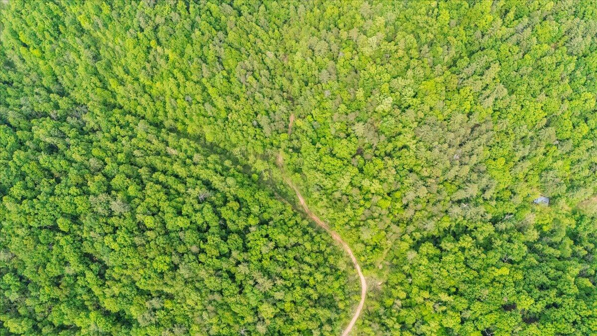 3994 Yates Road Shawsville, VA 24162 - Photo 18 of 40 41-DJI_20260516161102_0042_D