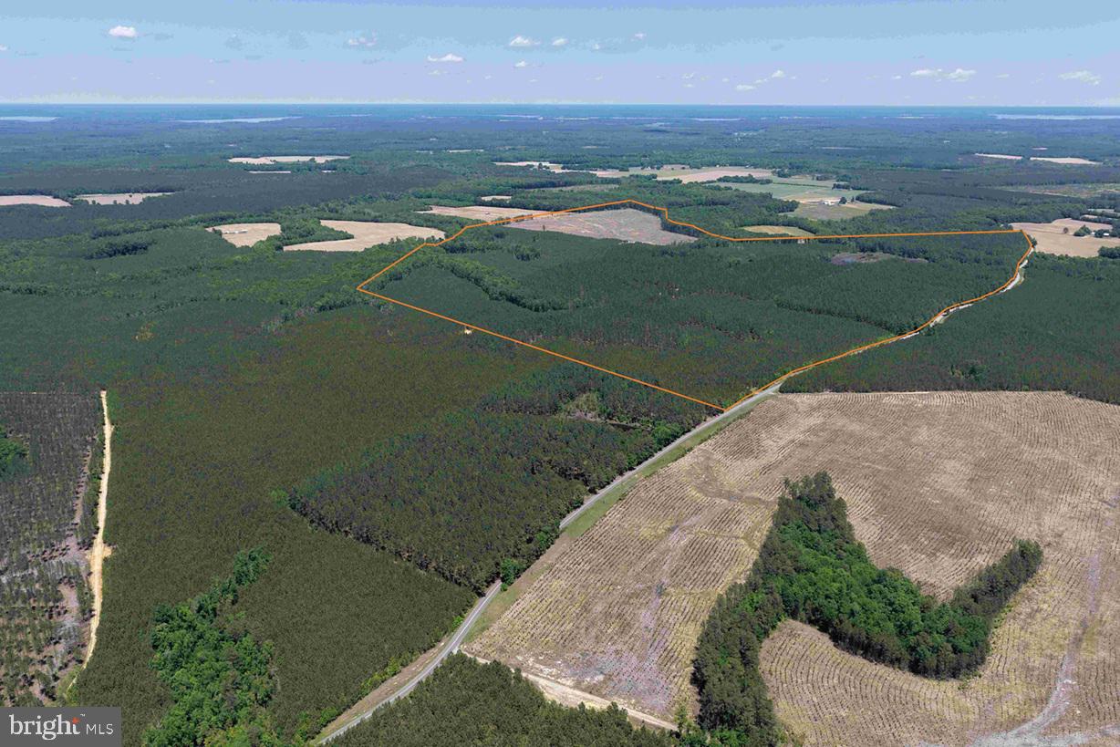 Laurel Springs Road Spring Grove, VA 23881 - Photo 3 of 20
