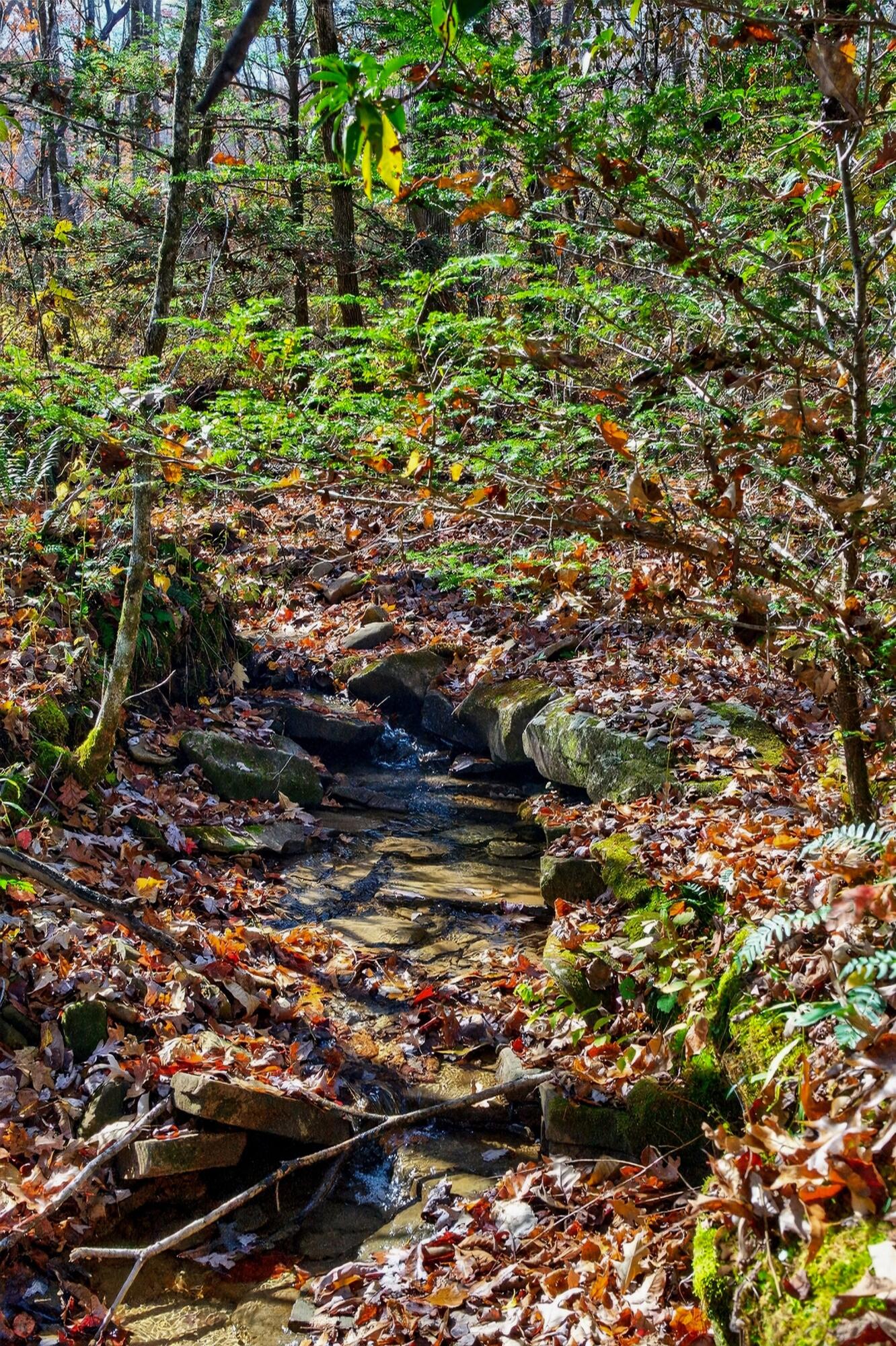 0 Meadow Lark Road Dunlap, TN 37327 - Photo 15 of 71 59