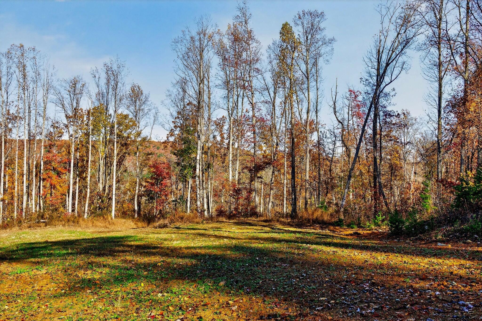 0 Meadow Lark Road Dunlap, TN 37327 - Photo 2 of 71 12