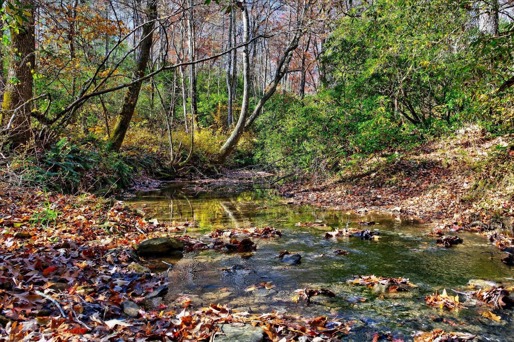 0 Meadow Lark Road Dunlap, TN 37327 - Photo 23 of 71 68