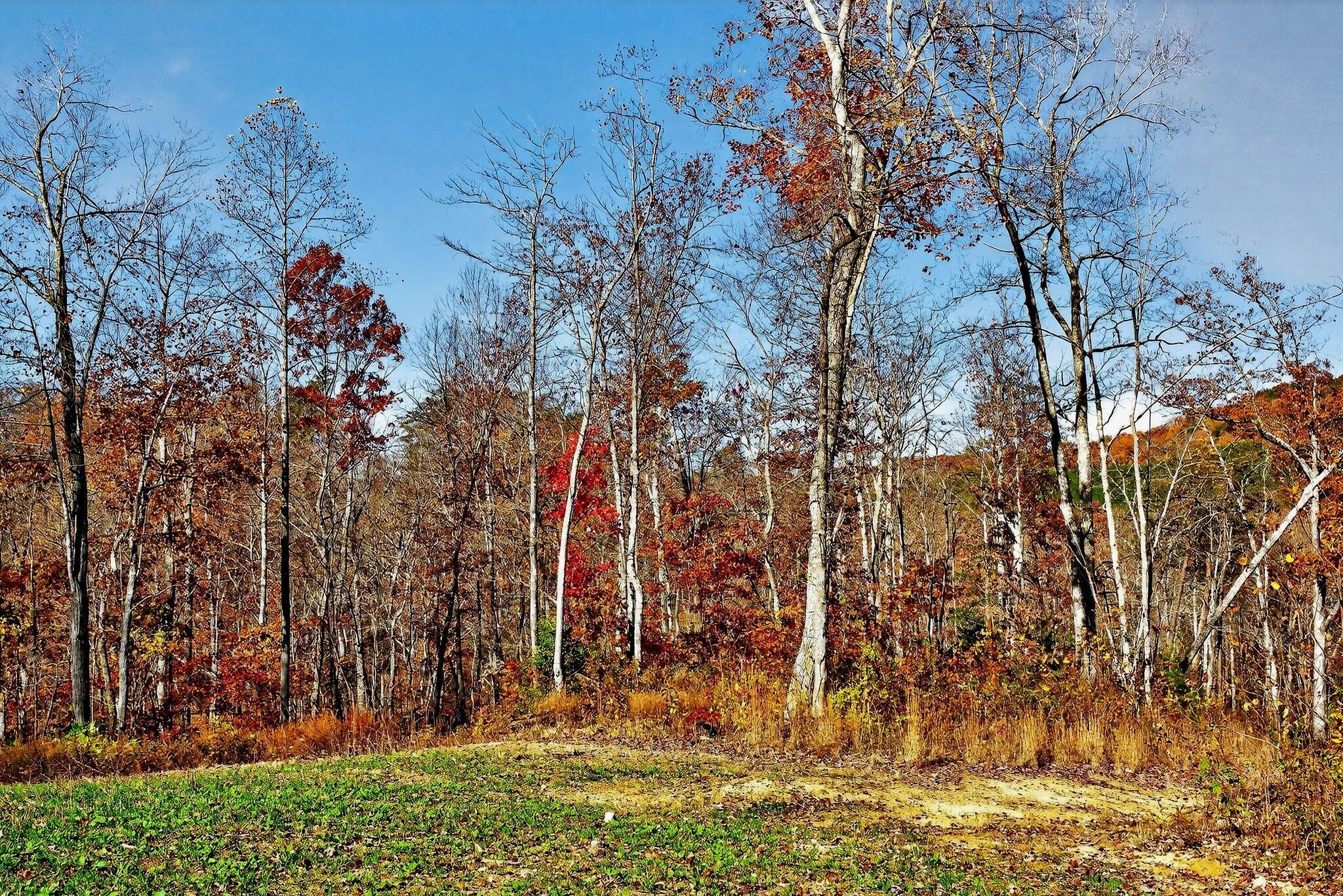 0 Meadow Lark Road Dunlap, TN 37327 - Photo 26 of 71 72