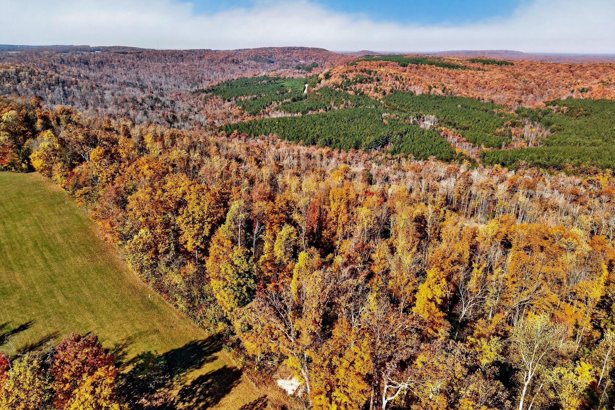0 Meadow Lark Road Dunlap, TN 37327 - Photo 28 of 71 18