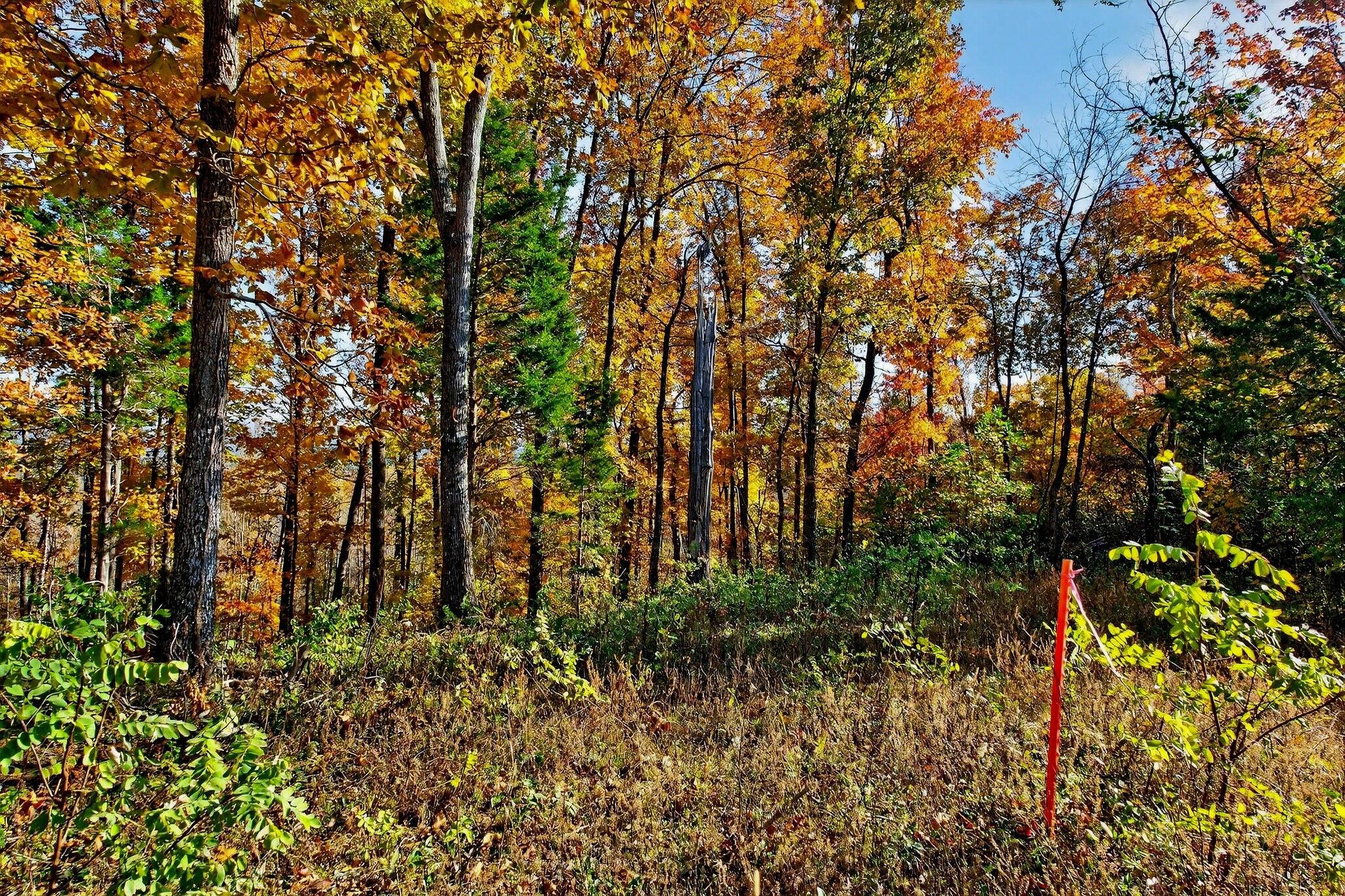 0 Meadow Lark Road Dunlap, TN 37327 - Photo 34 of 71 24