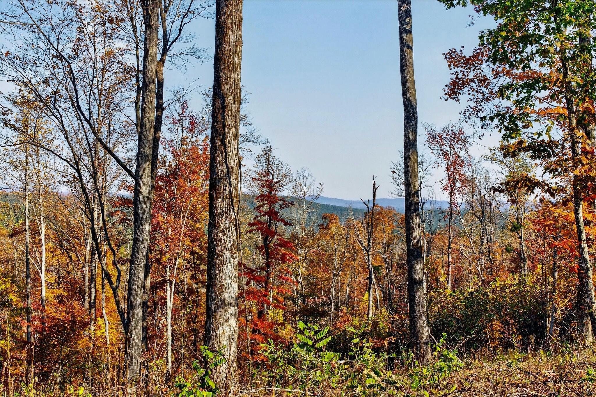 0 Meadow Lark Road Dunlap, TN 37327 - Photo 35 of 71 25