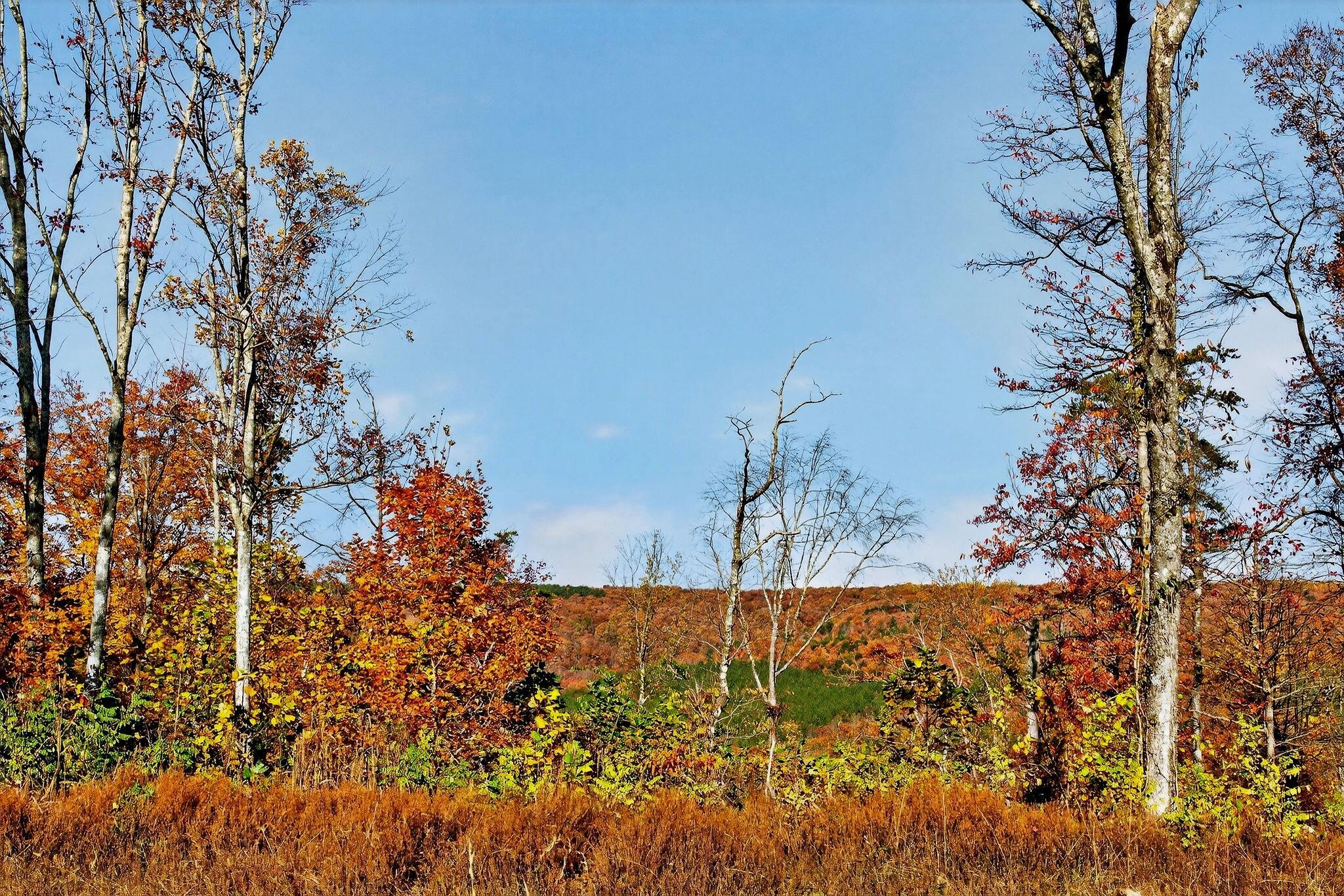 0 Meadow Lark Road Dunlap, TN 37327 - Photo 40 of 71 30