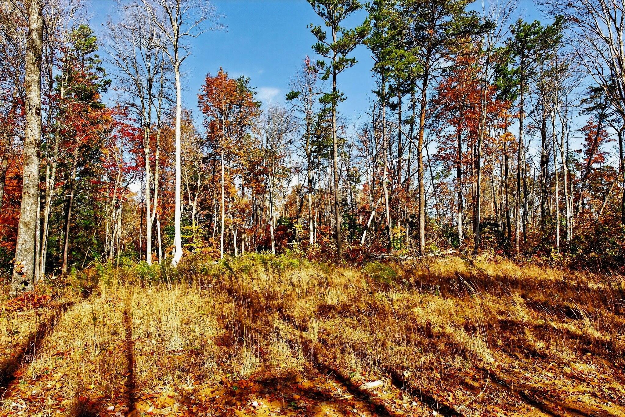 0 Meadow Lark Road Dunlap, TN 37327 - Photo 46 of 71 36
