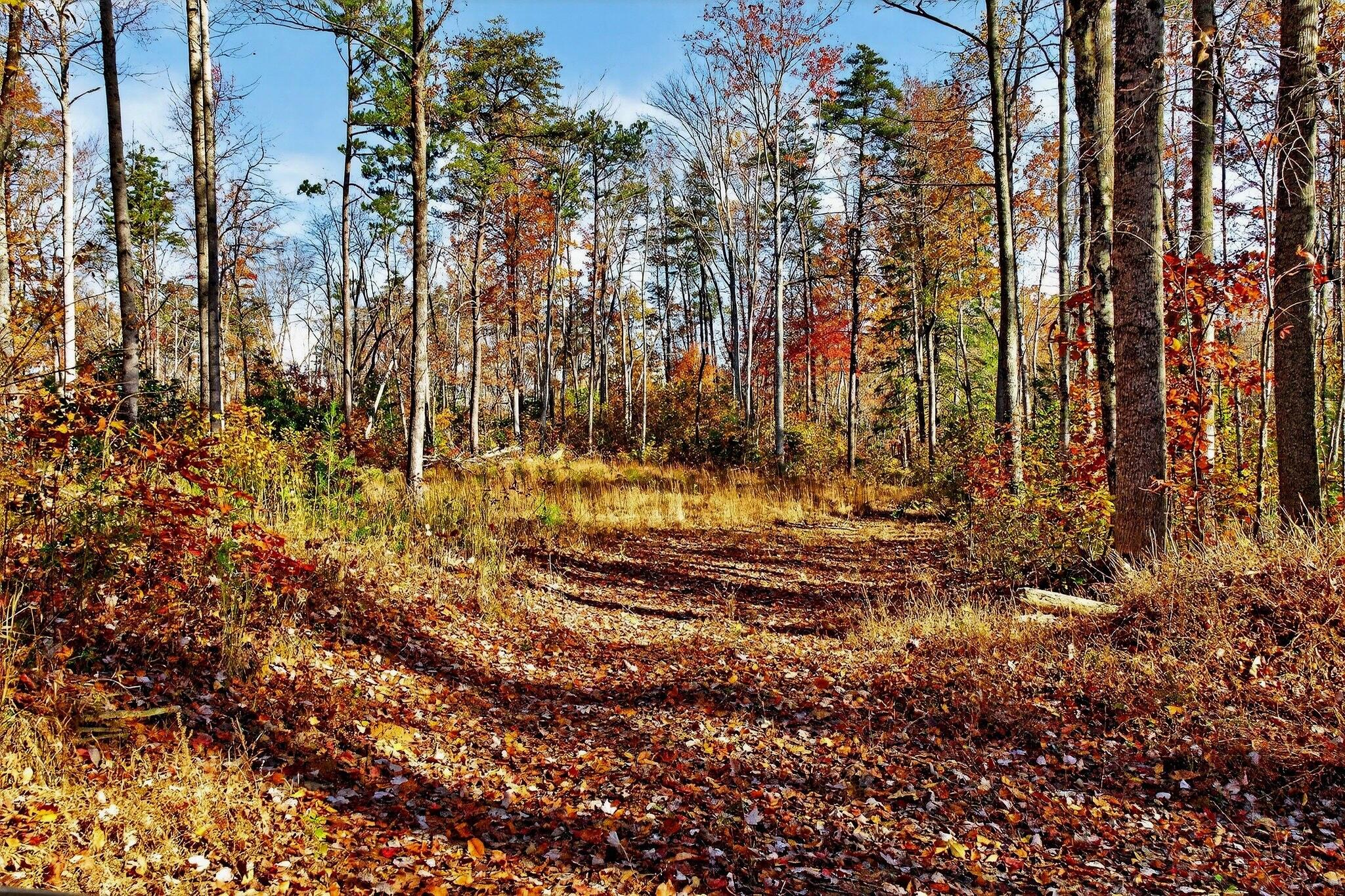 0 Meadow Lark Road Dunlap, TN 37327 - Photo 47 of 71 37