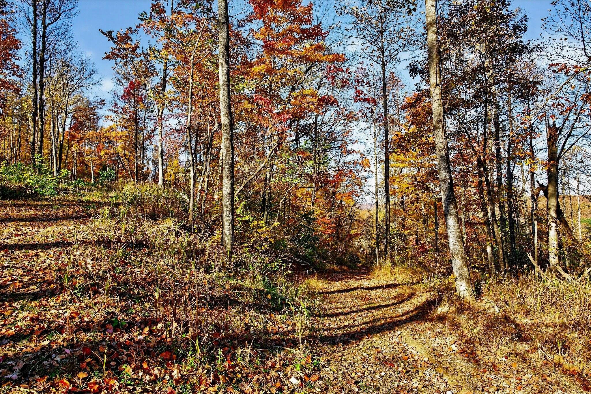 0 Meadow Lark Road Dunlap, TN 37327 - Photo 53 of 71 43