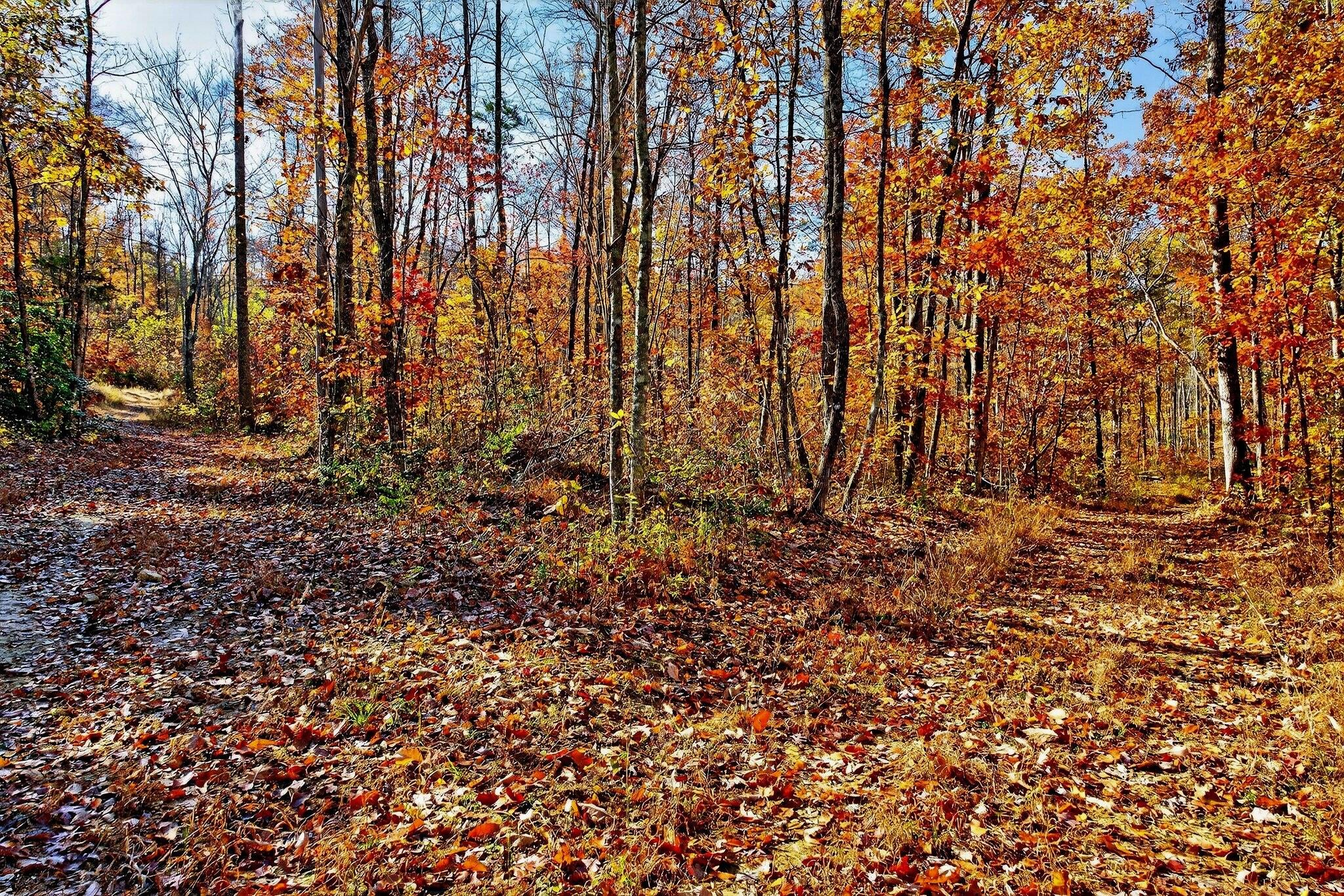 0 Meadow Lark Road Dunlap, TN 37327 - Photo 56 of 71 46
