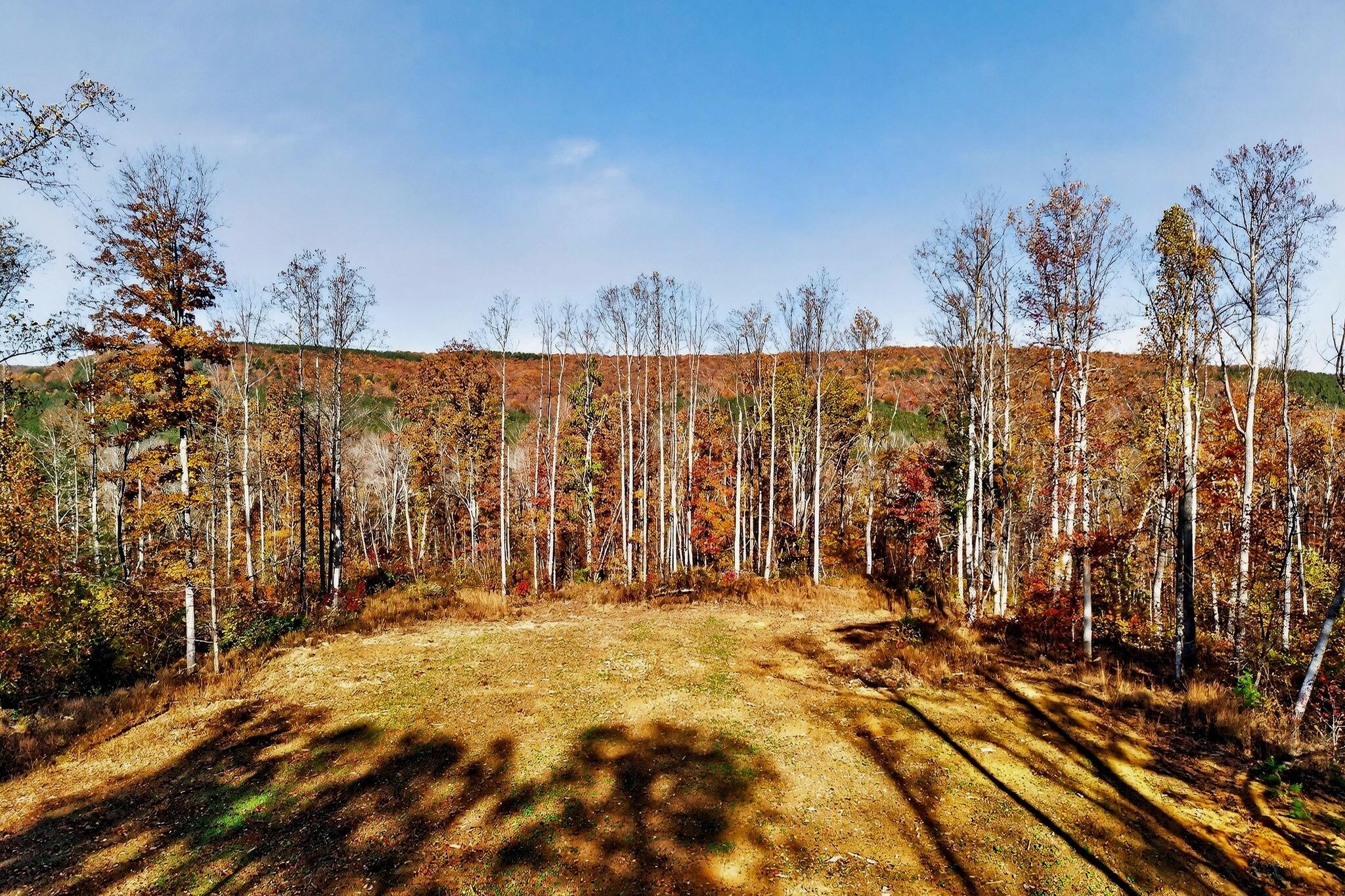0 Meadow Lark Road Dunlap, TN 37327 - Photo 6 of 71 8