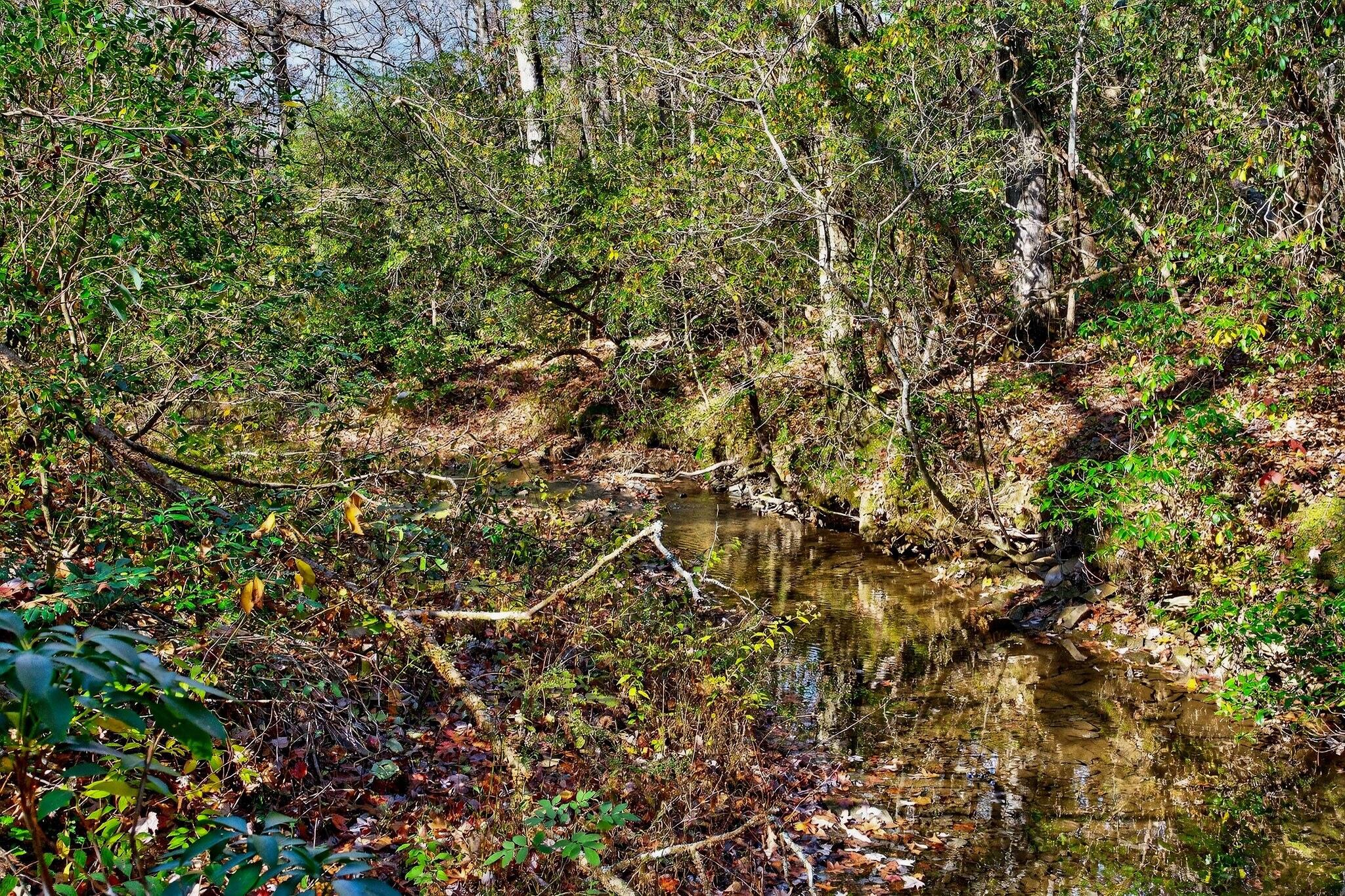 0 Meadow Lark Road Dunlap, TN 37327 - Photo 62 of 71 52