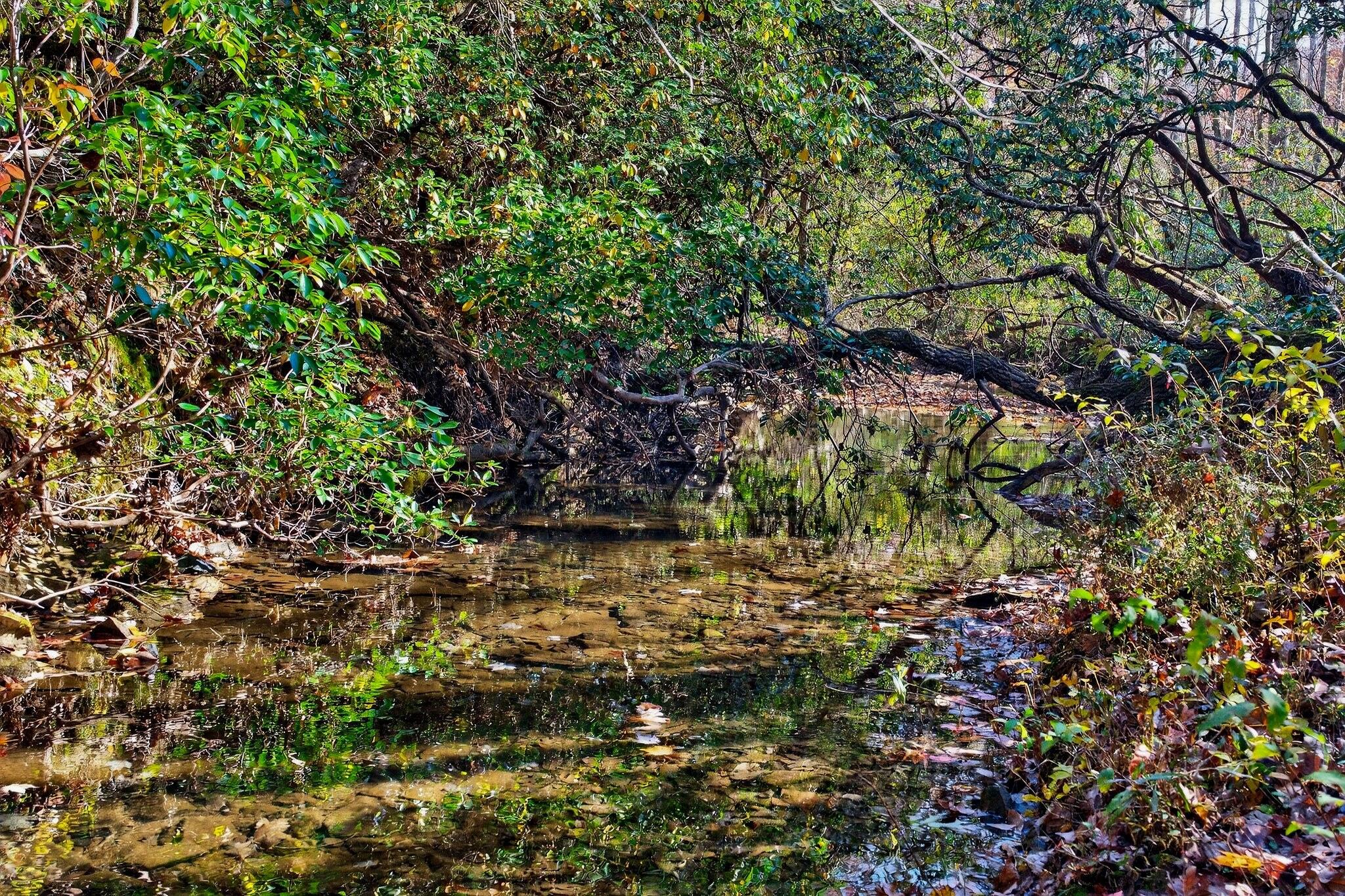 0 Meadow Lark Road Dunlap, TN 37327 - Photo 63 of 71 2