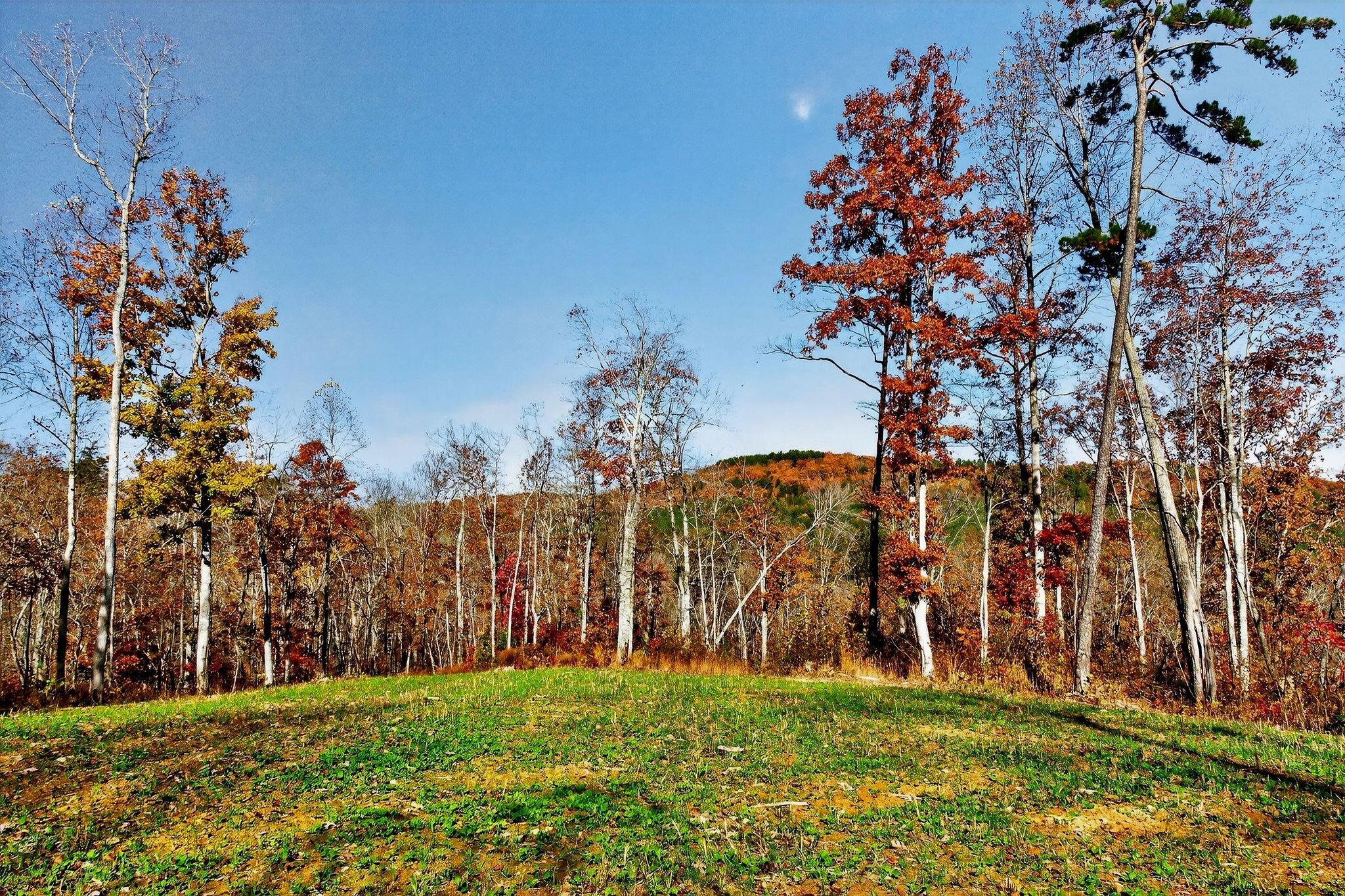 0 Meadow Lark Road Dunlap, TN 37327 - Photo 64 of 71 3