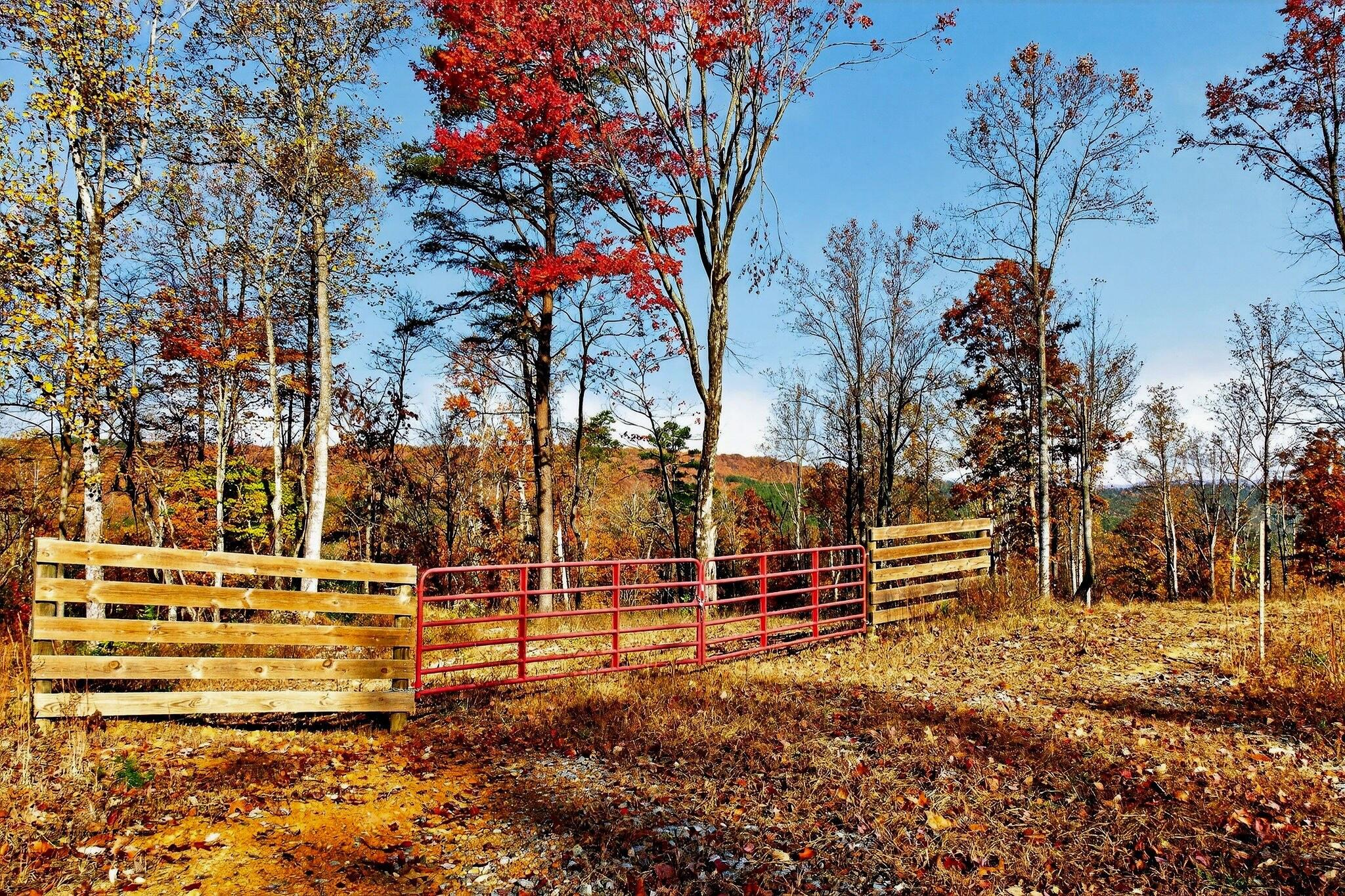 0 Meadow Lark Road Dunlap, TN 37327 - Photo 65 of 71 4