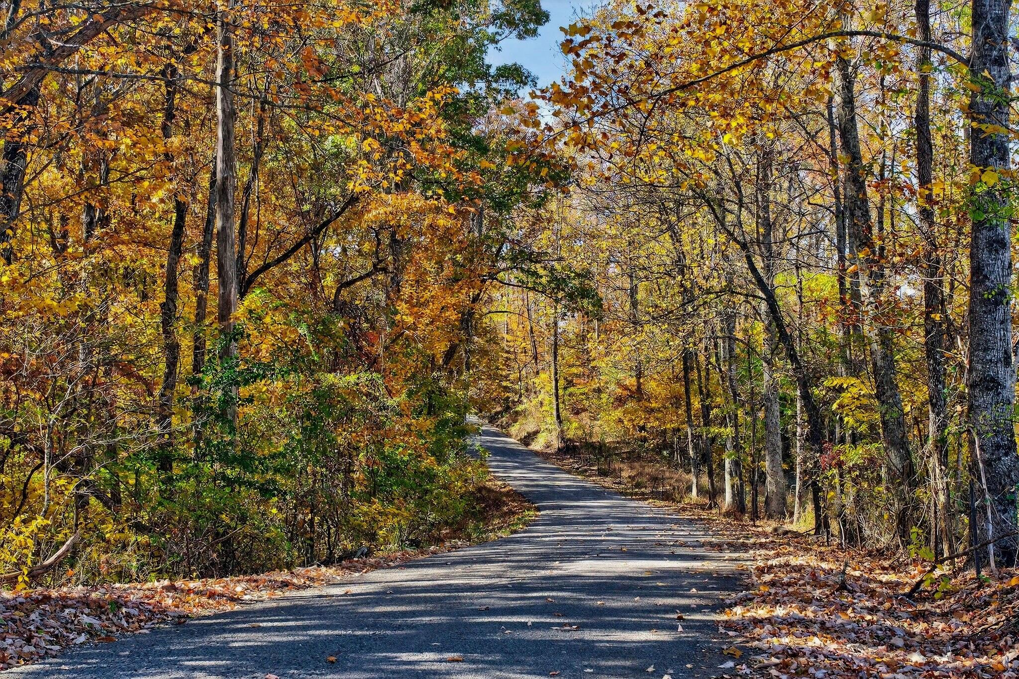 0 Meadow Lark Road Dunlap, TN 37327 - Photo 68 of 71 7