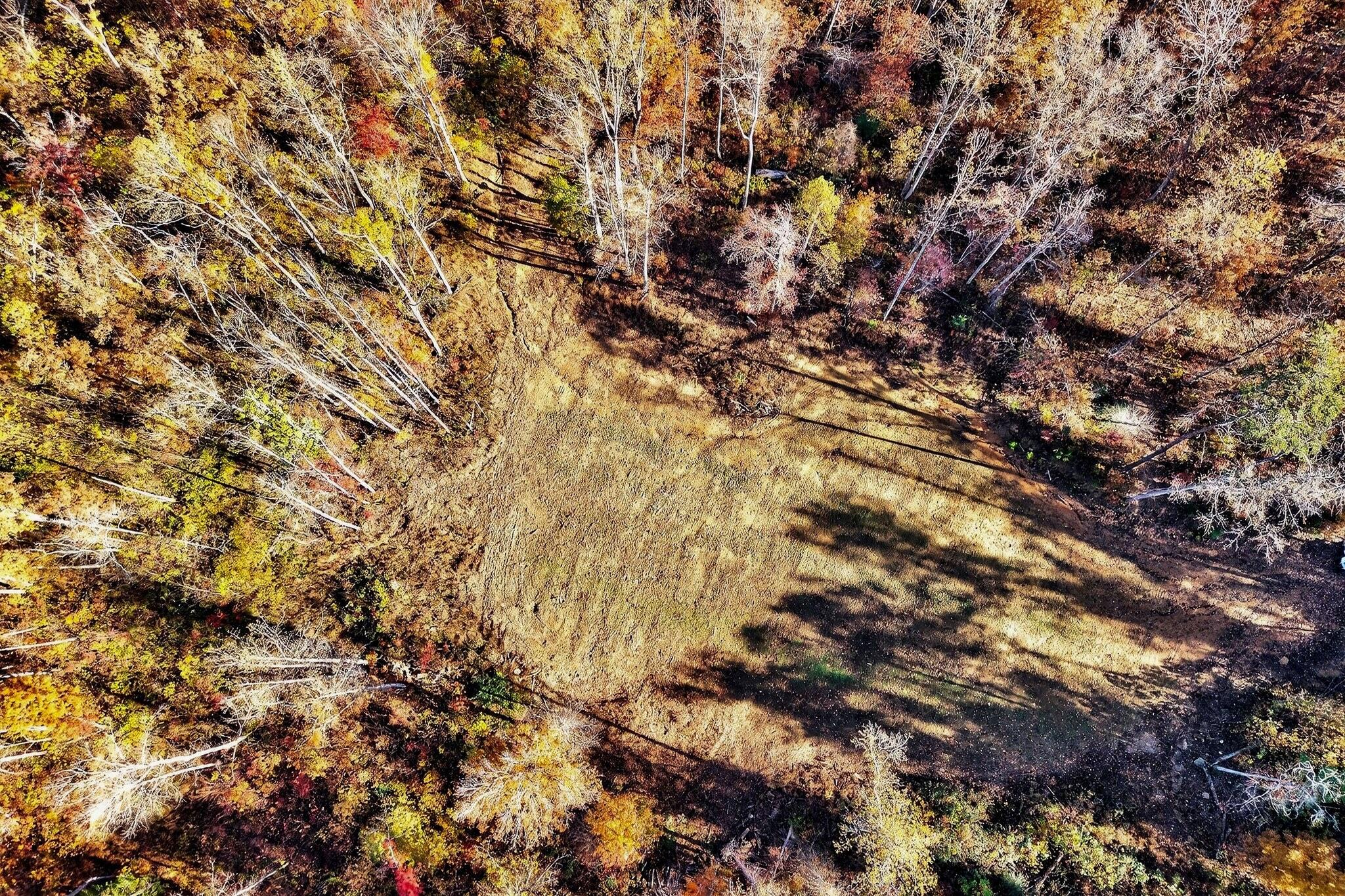 0 Meadow Lark Road Dunlap, TN 37327 - Photo 8 of 71 11