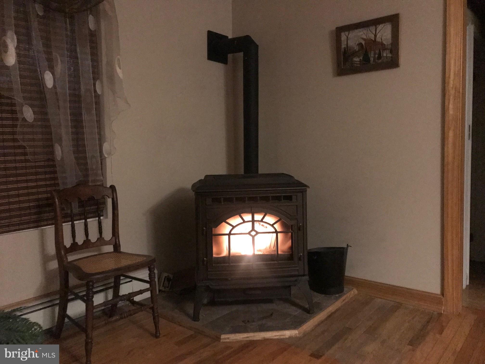37 Nice Road Quakertown, PA 18951 - Photo 26 of 41 Pellet stove burning