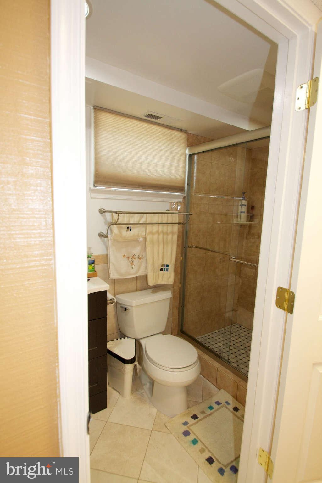 4602 Gage Road Alexandria, VA 22309 - Photo 22 of 26 Full Bath Basement