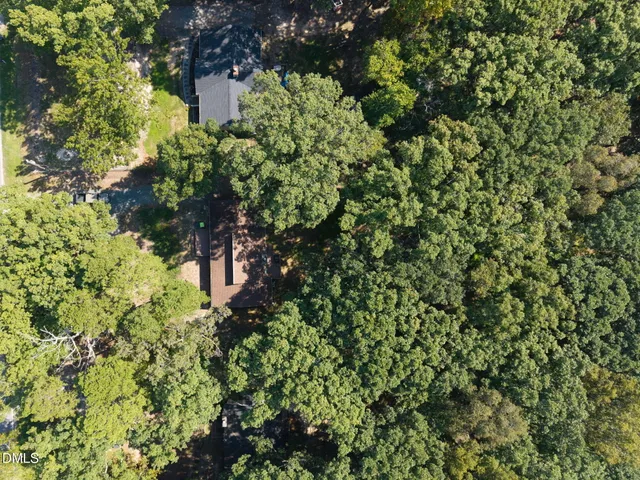 a view of a tree in a garden