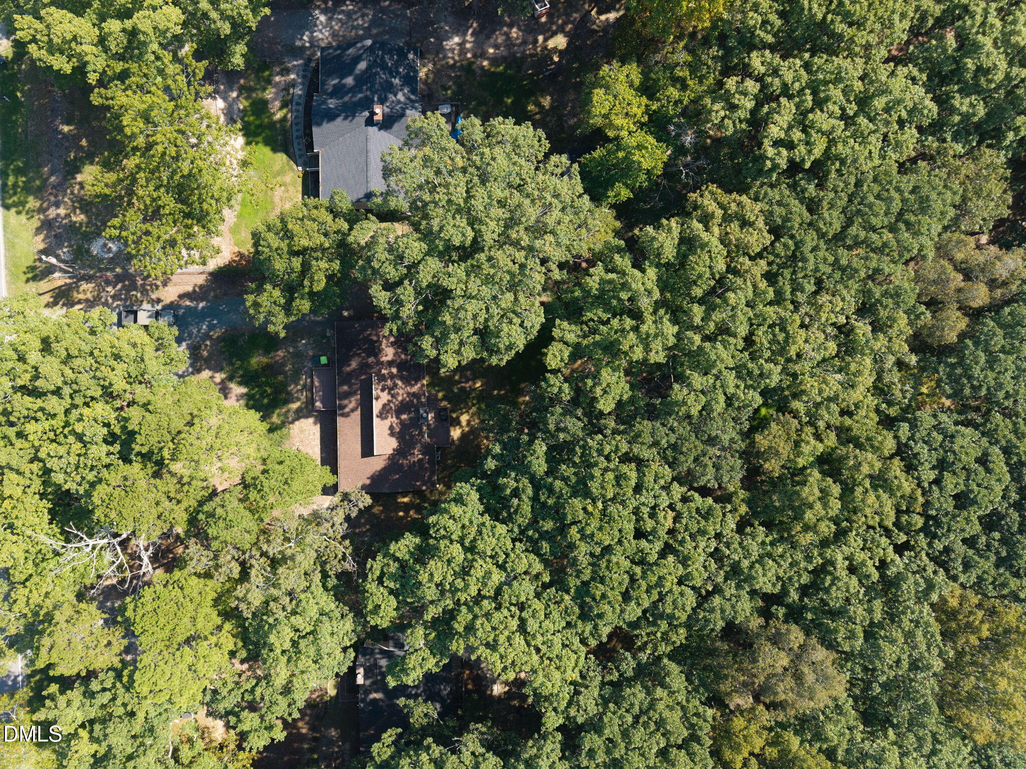 904 Snow Hill Road Durham, NC 27712 - Photo 39 of 41 a view of a tree in a garden