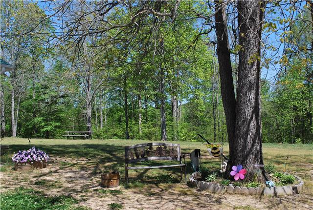 1125 Lewis Road Burns, TN 37029 - Photo 8 of 20 Great level yard