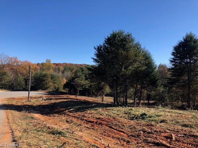 7445 Princess Ann Court Rural Hall, NC 27045 - Photo 2 of 5