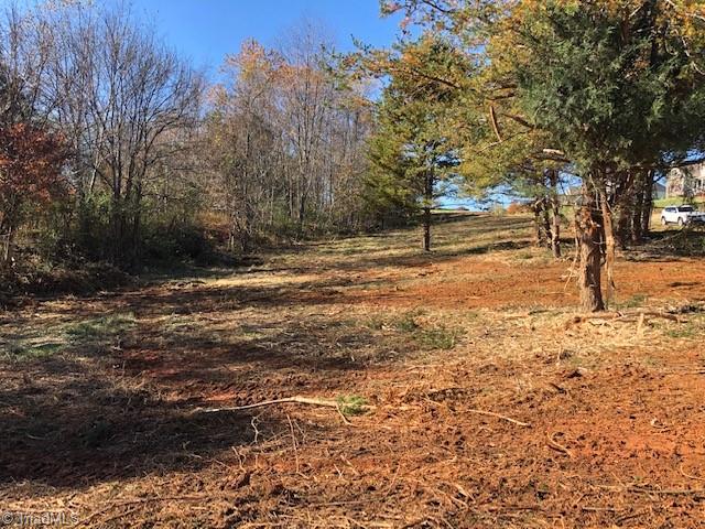 7445 Princess Ann Court Rural Hall, NC 27045 - Photo 4 of 5