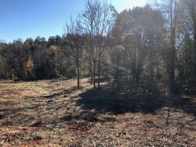 7445 Princess Ann Court Rural Hall, NC 27045 - Photo 5 of 5