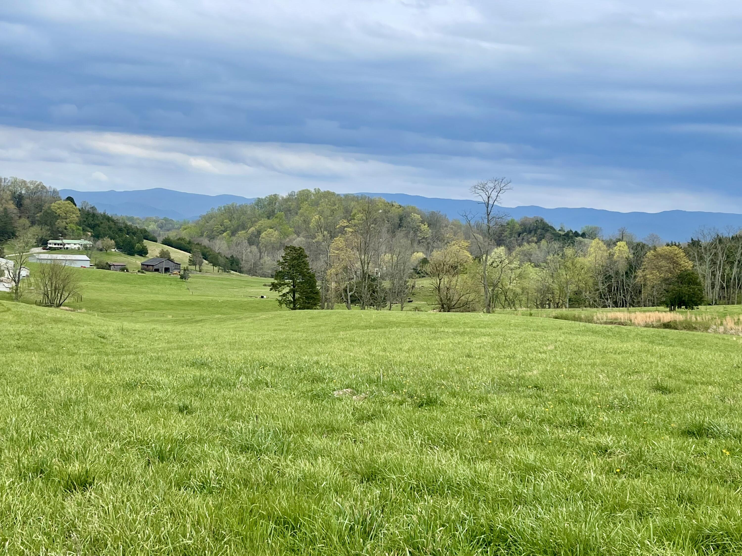 Lot 1-2 Snapps Ferry Road, Unit 14 79 Afton, TN 37616 - Photo 18 of 40 Red Cedar Farms Spring view picture