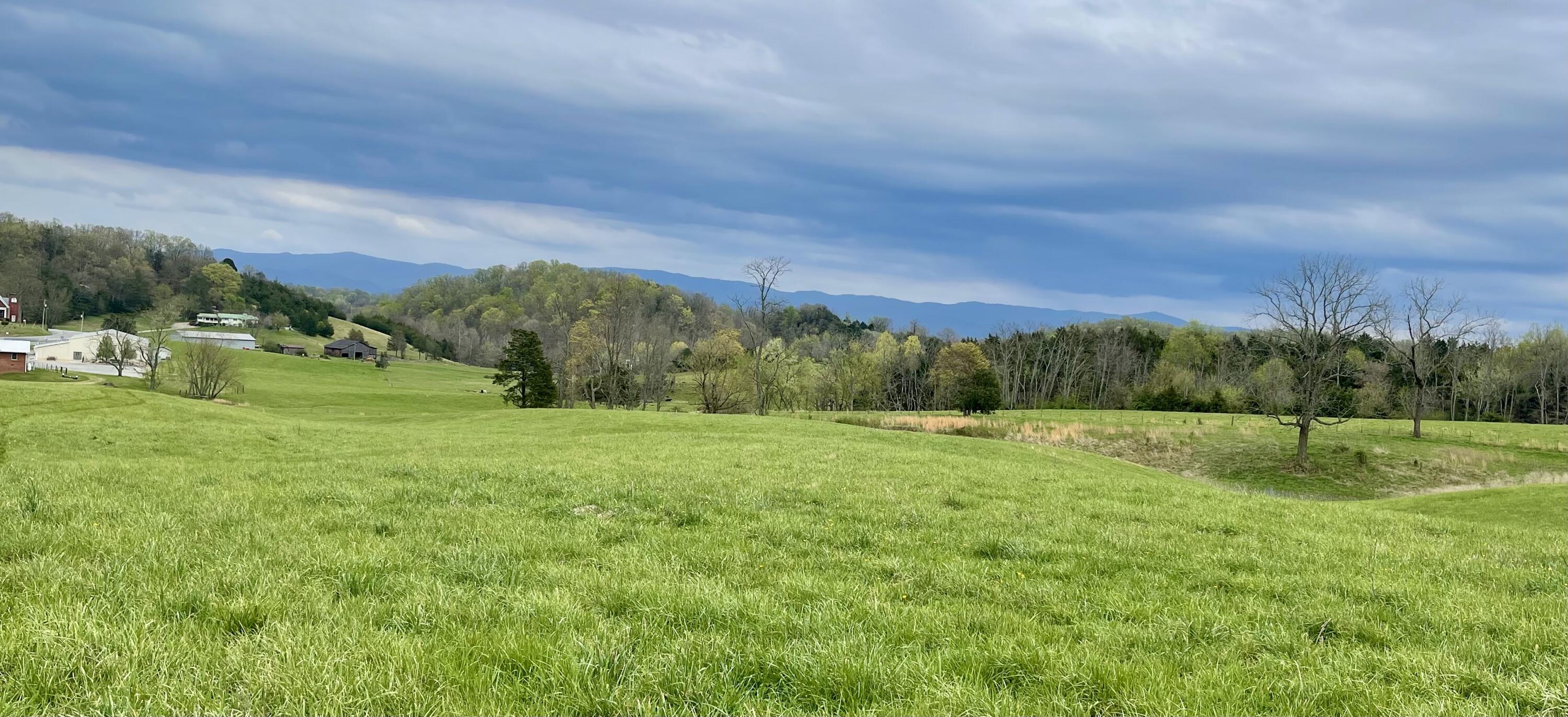 Lot 1-2 Snapps Ferry Road, Unit 14 79 Afton, TN 37616 - Photo 19 of 40 Red Cedar Farms Spring view picture