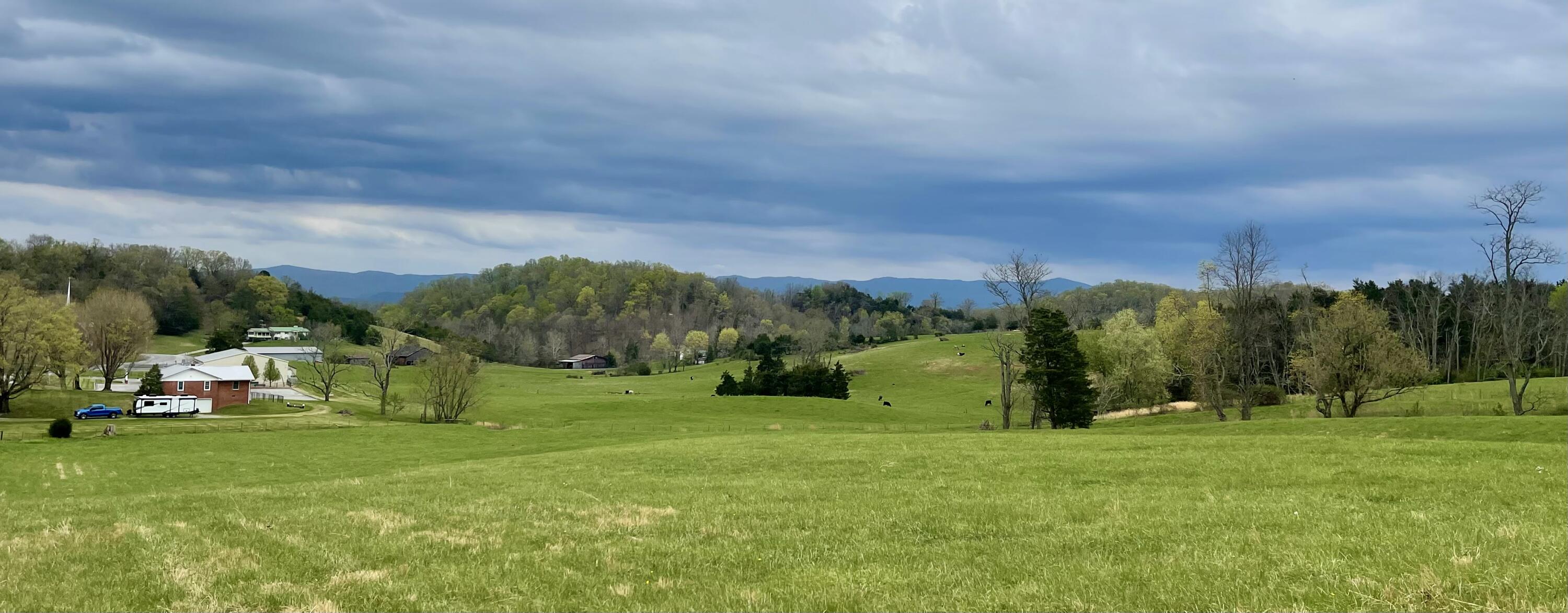 Lot 1-2 Snapps Ferry Road, Unit 14 79 Afton, TN 37616 - Photo 21 of 40 Red Cedar Farms Spring view picture