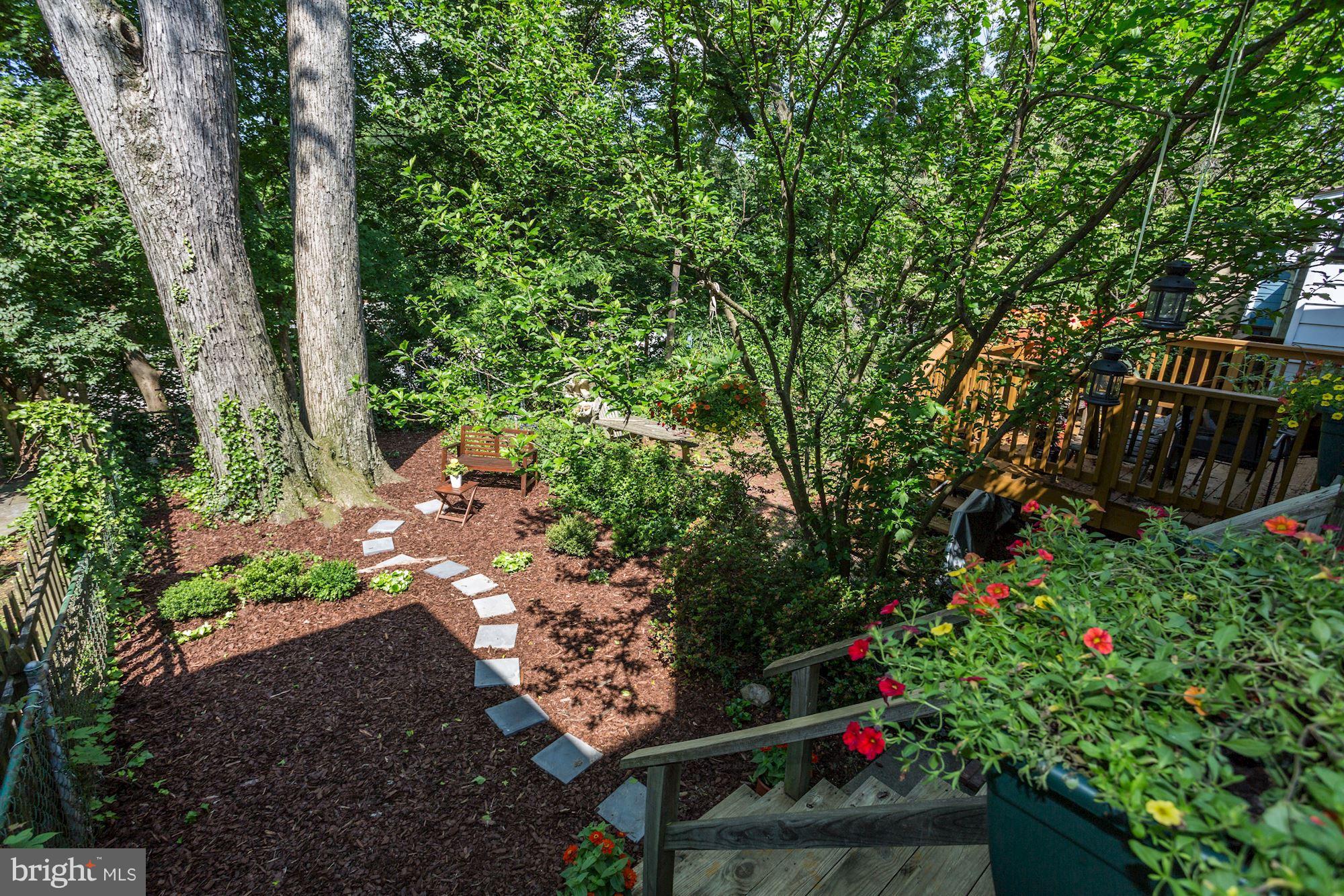 2016 Tunlaw Road Northwest Washington, DC 20007 - Photo 21 of 22 Beautifully landscaped
